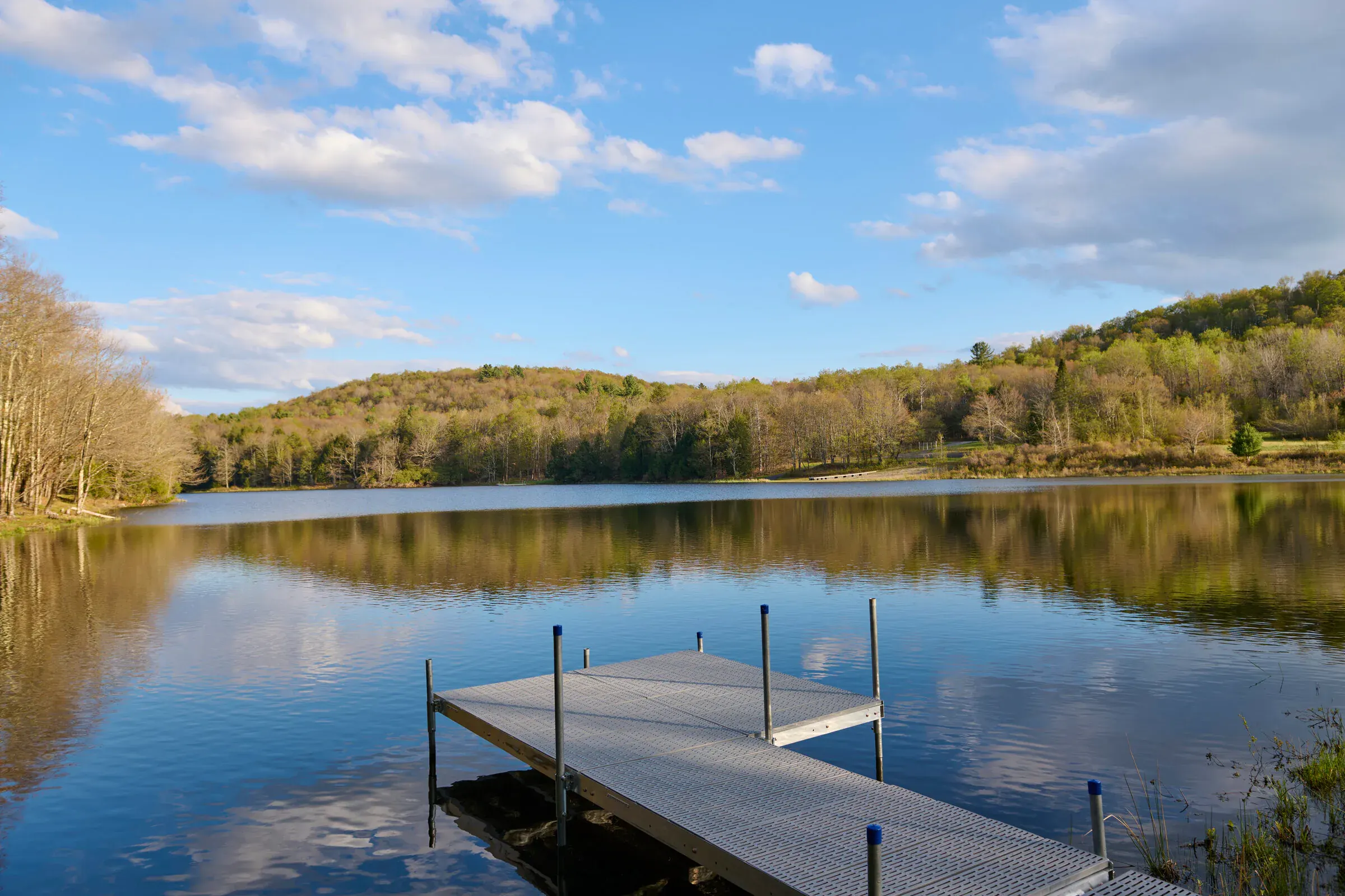 Floating dock on the private lake at Verdant Sound — still water, forested hills, morning sky